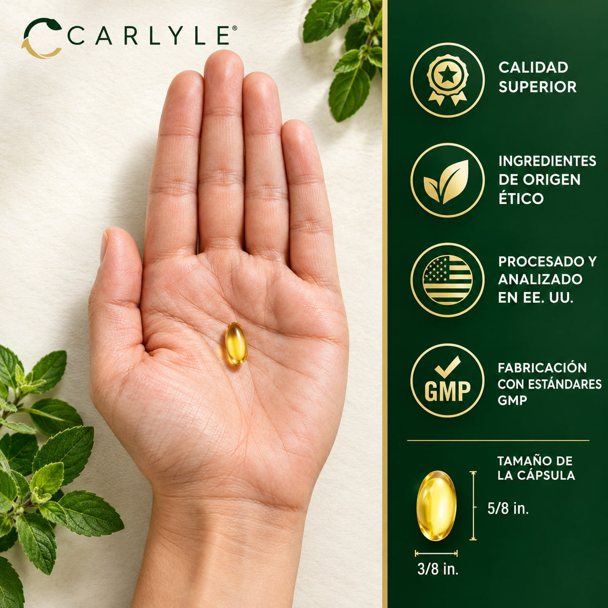 AURA Aceite de Oregano Nueva Presentación